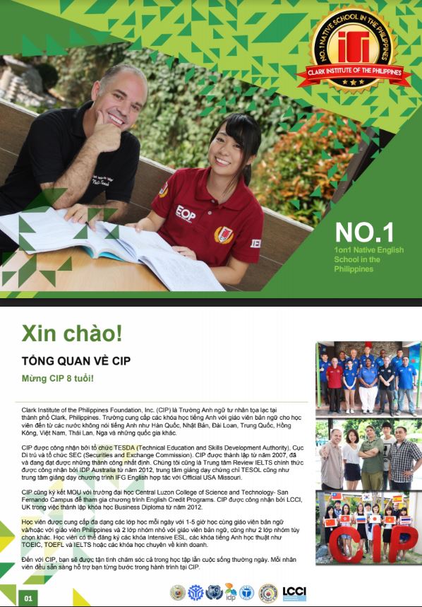 CIP Brochure